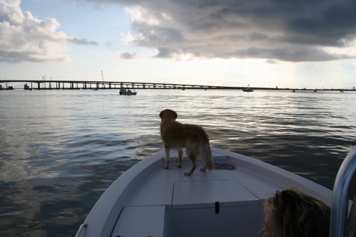 Galveston Causeway Explosion photograph