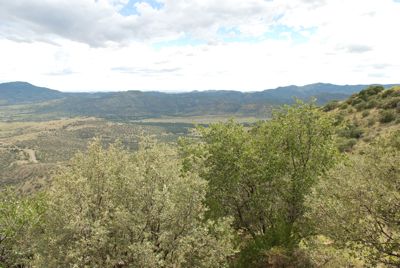 View from Lambert Lodge