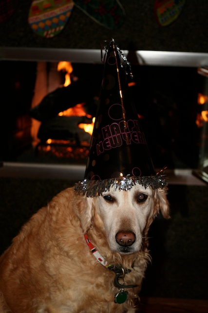 New Year’s Eve — December 31, 2008 photograph