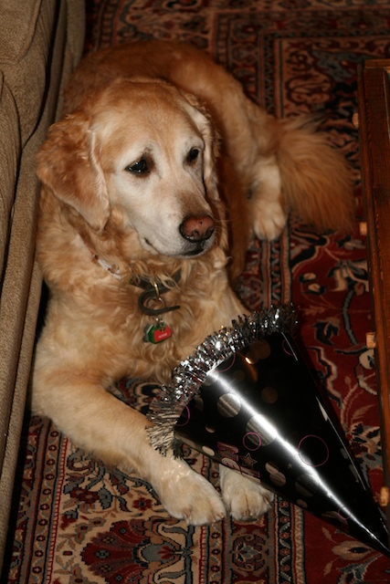 New Year’s Eve — December 31, 2008 photograph