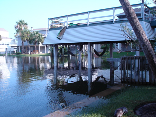 Tide debris left in a yard after Hurricane Rita