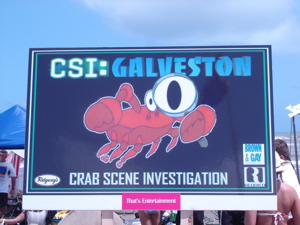 Galveston Sandcastle Contest photo 53