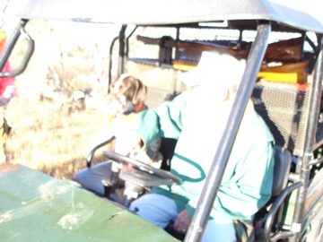 Belle riding in the Mule utility vehicle