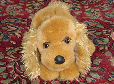 Stuffy — Rosie’s New York Cousin photograph