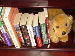 Stuffy — Rosie’s New York Cousin photograph