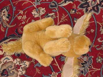 Stuffy — Rosie’s New York Cousin photograph