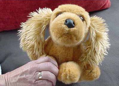 Stuffy — Rosie’s New York Cousin photograph