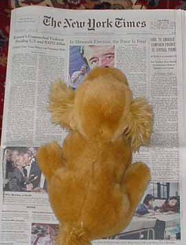 Stuffy — Rosie’s New York Cousin photograph